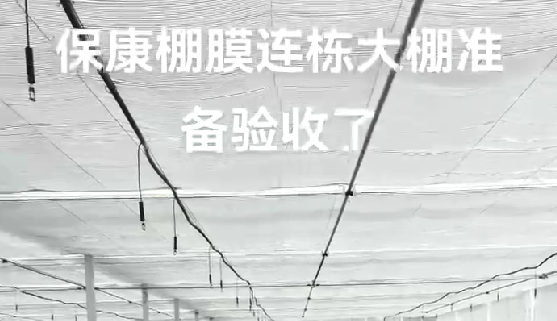 ?？蹬锬みB棟大棚準備驗收
